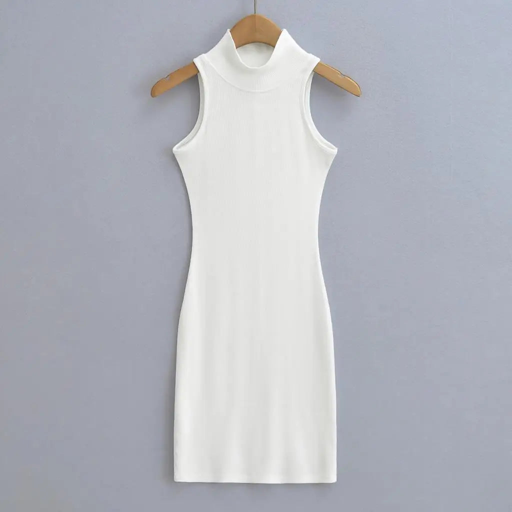 Women's Turtleneck Knit Bodycon Ankle-Length Maxi Dress
